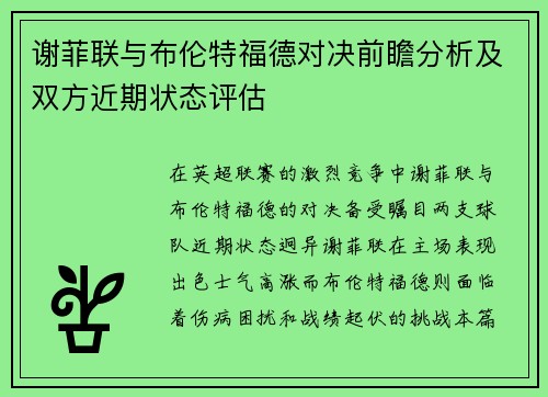 谢菲联与布伦特福德对决前瞻分析及双方近期状态评估