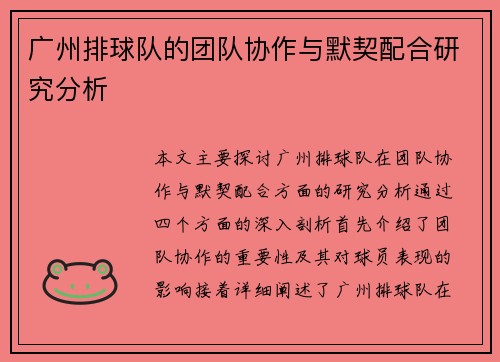 广州排球队的团队协作与默契配合研究分析