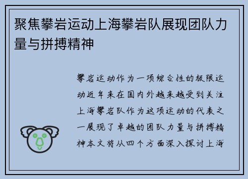 聚焦攀岩运动上海攀岩队展现团队力量与拼搏精神